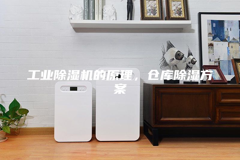 工業(yè)除濕機(jī)的原理,倉(cāng)庫(kù)除濕方案