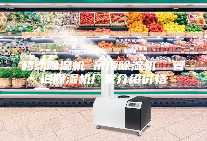 移動(dòng)除濕機(jī) 吊頂除濕機(jī)  管道除濕機(jī)廠家介紹價(jià)格