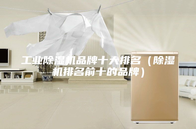 工業(yè)除濕機(jī)品牌十大排名（除濕機(jī)排名前十的品牌）