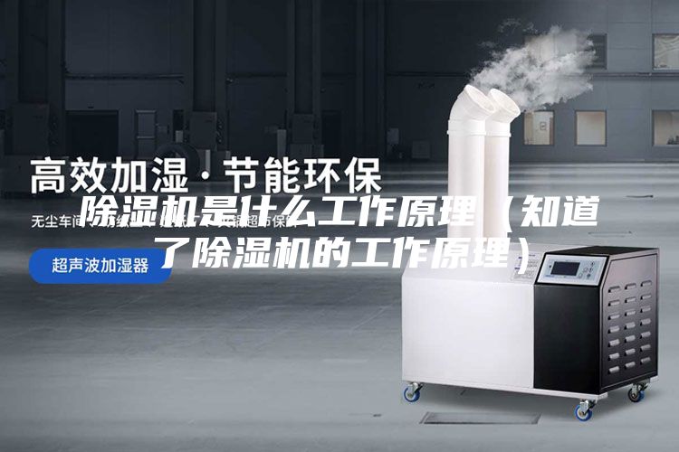 除濕機(jī)是什么工作原理（知道了除濕機(jī)的工作原理）