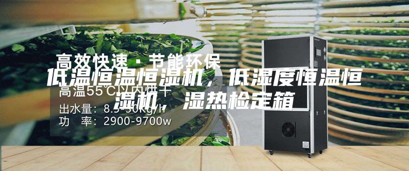 低溫恒溫恒濕機,低濕度恒溫恒濕機,濕熱檢定箱