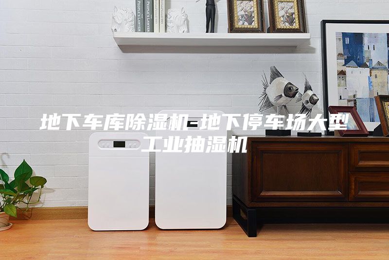 地下車庫除濕機(jī)-地下停車場大型工業(yè)抽濕機(jī)