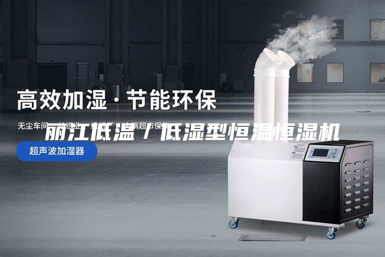 麗江低溫/低濕型恒溫恒濕機(jī)