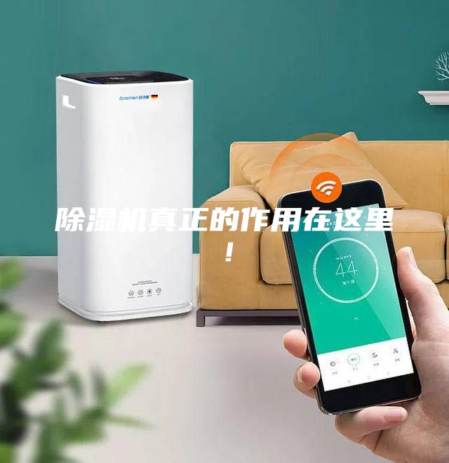 除濕機真正的作用在這里！