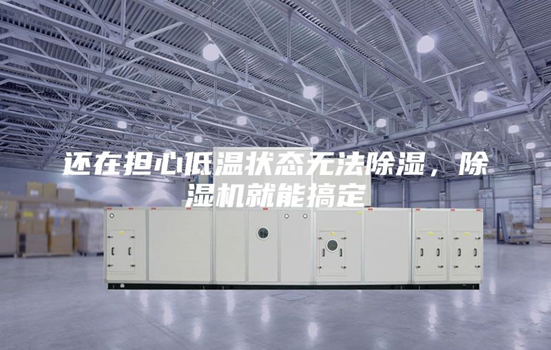 還在擔心低溫狀態(tài)無法除濕,除濕機就能搞定