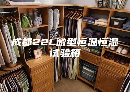成都22L微型恒溫恒濕試驗(yàn)箱