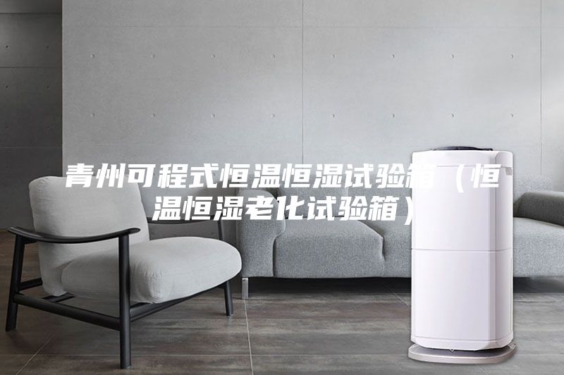 青州可程式恒溫恒濕試驗箱(恒溫恒濕老化試驗箱)