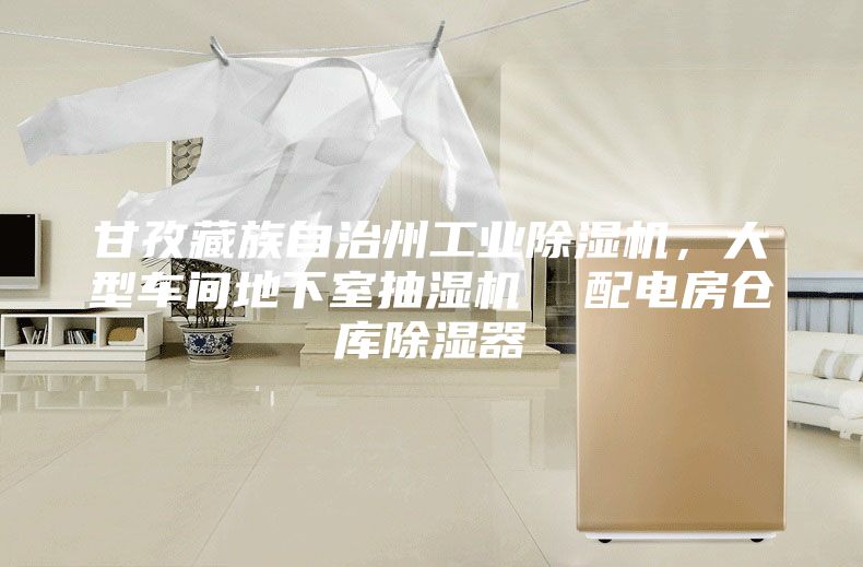 甘孜藏族自治州工業除濕機,大型車間地下室抽濕機 配電房倉庫除濕器